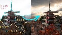 炸金花豹子给喜钱吗-炸金花豹子给喜钱，一场牌局中的乐趣与分享