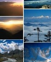 足球篮球即时比分-足球篮球即时比分，数字背后的运动激情与科技力量